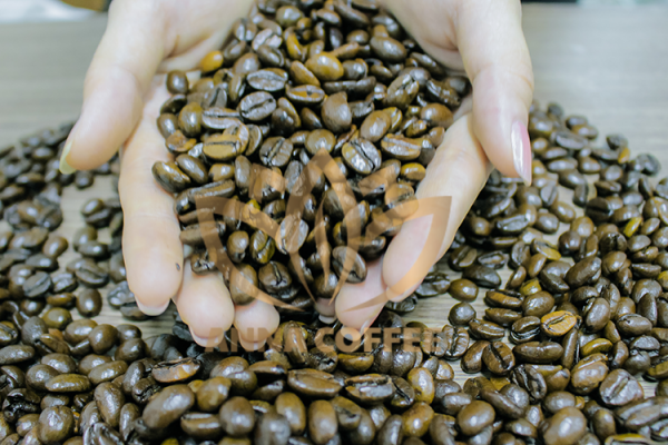 Cà phê rang xay ngày càng được ưa chuộng tại Sài Gòn